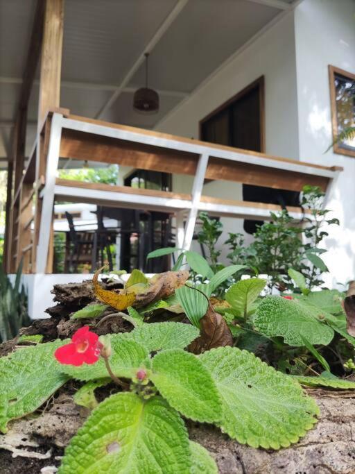 Little Yemanja Bungalow Puerto Viejo de Talamanca Extérieur photo